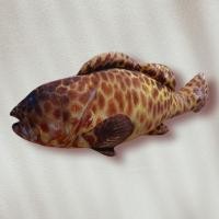 ราคา เก๋าไม่เก๋า แต่มีหมอนปลาเก๋า 50ซม แต่งร้านอาหารสุดปัง (6095286915)