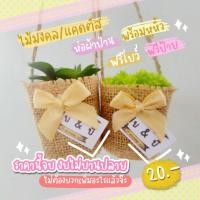 ราคา ของชำร่วยไม้มงคล/แคดตัสห่อผ้าป่าน น่ารักราคาถูก (20447132188)