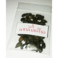 ราคา ลดราคาถูกพิเศษ เมล็ดแอปเปิ้ลเขียว green apple เมล็ดพันธุ์นำเข้า แอปเปิ้ลแคระ แอปเปิ้ลจิ๋ว แอปเปิ้ลบอนไซ 50 เมล็ด (4807043920)