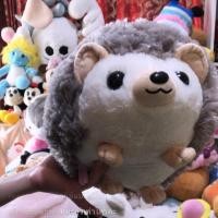 ราคา เม่นอมูส งานใหม่ ป้ายห้อย (4418248032)