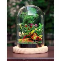 ราคา โหลโดมแก้วมีไฟพร้อมสวน(1) (8158816479)