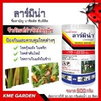 ราคา ♻️ชีวภัณฑ์♻️ ลาร์มิน่า ขนาด 500 กรัม เชื้อแบคทีเรีย บาซิลลัส ซับทิลิส ป้องกันและควบคุมโรคต่าง ๆ เช่น โรคกุ้งแห้ง (แอนแทร (9688847063)