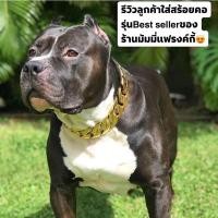 ราคา สร้อยคอสุนัข สร้อยคอสุนัขสแตนเลสแท้เกรด316L สร้อยคอหมา ปลอกคอสุนัขสแตนเลสแท้ ปลอกคอหมาบลูลี่-พิทบลูDog collarพร้อมส่ง (7081993738)