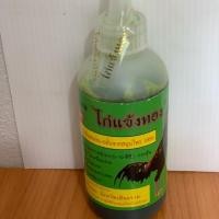 ราคา ไก่แข้งทอง (ใหญ่) ไก่ชน (2656899023)