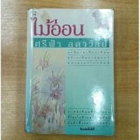 ราคา ไม้อ่อน : ศรีฟ้า ลดาวัลย์ (14079822069)