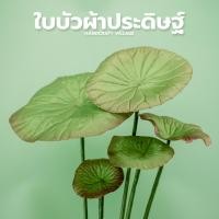 ราคา ใบบัวผ้าประดิษฐ์ แพ็ค6ก้าน สำหรับทำงานฝีมือ จัดแจกันดอกบัว กระถางดอกบัว ดอกไม้ผ้าใยบัว ฝักบัวกระดาษ ฝักบัวปลอม งานDIY (22531225856)