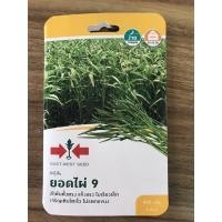 ราคา เมล็ดผักบุ้ง ยอดไผ่ 9 ตราศรแดง (11815339795)