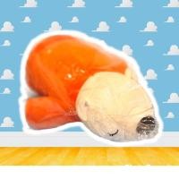 ราคา ตุ๊กตา หมี หมีขี้เซา เสื้อสีส้ม ยาว 10 นิ้ว ของใหม่ มือ1 (14242216825)