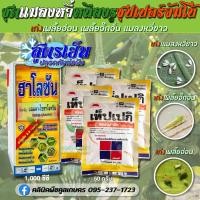 ราคา กำจัดแมลงหวี่ จัมโบ้ สูตรน็อค เป็นยาเย็น ฉีดฝ่าดอกได้ดี เพลี้ย แมลง หนอน ชุดเดียวจบ คูลเกษตร Kl93 (21423945714)