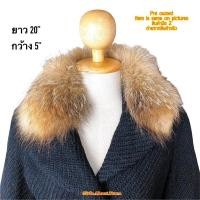 ราคา ปกคอแต่งโค้ท เฟอร์ขนสัตว์แท้ ขนแรคคูน (13275864389)