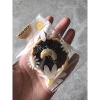 ราคา ทาร์ตบราวนี่ (ใช้เนยเป็นส่วนผสม) (20111080836)