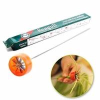 ราคา Seagull มีดซอยผักบุ้ง มีดปอกผักบุ้ง มีดหั่นผักบุ้งฝอย สเตนเลสแท้100% สินค้านำเข้าเวียดนาม จำนวน 1 ชิ้น (4519230806)