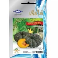 ราคา เมล็ดฟักทองลายข้าวตอก เมล็ดพันธุ์ผักเจียไต๋ ประมาณ 20 เมล็ด เมล็ดฟักทอง ฟักทองลายข้าวตอก (3616625718)