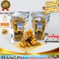 ราคา แพ็คสุดคุ้ม หมึกฉาบ ปรุงรส (พร้อมทาน) ปลาหมึกกรอบฉาบน้ำจิ้มรสเด็ด ขนาดรวม 500 กรัม (20445081989)