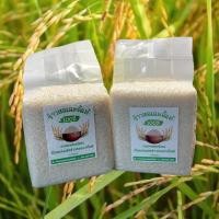 ราคา ข้าวหอมมะลิแท้ 100% ปลอดสารพิษ หอม นุ่ม อร่อย สุขภาพดี จากเกษตรยโสธร แหล่งผลิตข้าวหอมมะลิชั้นดี (14870659145)