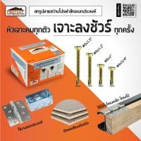 ราคา Profast สกรูปลายสว่าน อเนกประสงค์ สกรู ปลายสว่าน เจาะเหล็ก ไม้ฝา ซีเมนต์บอร์ด โครงไม้ โครงเหล็ก โปรฟาส์ท สกรูทอง สกรูแบน (21641573794)