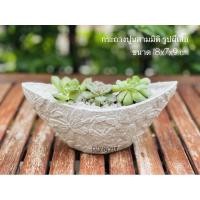 ราคา กระถางปูน กระถางแคคตัส กระถางปูนเปลือย (4786303031)
