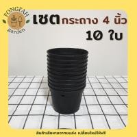 ราคา กระถางต้นไม้ สีดำ Minimal 4 นิ้ว 10 ใบ กระถาง กระถางสีดำ กระถางต้นไม้สีดำ กระถางพลาสติก กระถางต้นไม้ Modern (8386189117)