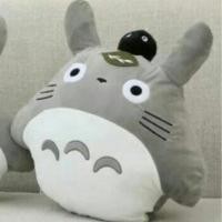 ราคา หมอนผ้าห่มโตโตโร่ (297606506)