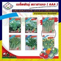 ราคา AAA ผักซอง AAA เมล็ดพันธุ์ ชุดผักกินใบ ชุดที่1 เมล็ดพันธุ์ ผักซอง เมล็ดพันธุ์ผัก เมล็ดพันธุ์ ผักสวนครัว ตราAAA สามเอ (5448524185)