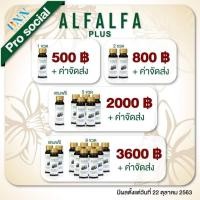 ราคา คลอโรฟิลล์ อัลฟัลฟ่า พลัส เข้มข้น100% 9 ขวดแถม 3 ขวด ราคา 3,600 ฿ (จากราคาปรกติ 6,600 ฿ ฿) (1 ขวดบรรจุ 50กรัม) (8509989558)