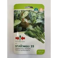 ราคา บางบัวทอง ศรแดง เมล็ดพันธ์ุคะน้า ชื่อพันธ์ุบางบัวทอง เมล็ดพันธ์ุคุณภาพตราศรแดง บรรจุในซองกระดาษอย่างดี (6231710351)