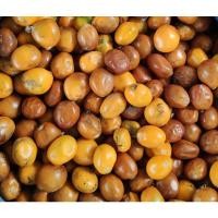 ราคา เมล็ดปรงเขาชะเมาหรือเมล็ดมะพรัาวสีดา (11935108601)