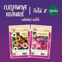 ราคา เมล็ดดอกไม้ เมล็ดดอกเบญจมาศ เมล็ดเบญจมาศ ดอกเบญจมาศ ดอกแอสเตอร์ l เจียไต๋ เมล็ดพันธุ์ดอกไม้ ปลูกดอกไม้ (6795550347)