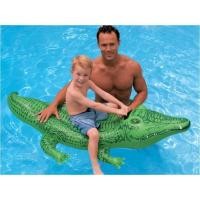 ราคา Ainakids Intex แพจระเข้ สีเขียว รุ่น 58546 (973131747)