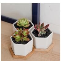 ราคา กระถางเซรามิคพร้อมจานรอง (11138319426)