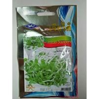 ราคา ทานตะวันงอก ( 300 เมล็ด) (1033007492)