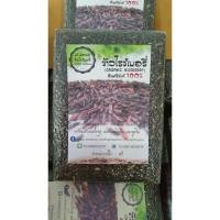 ราคา ข้าวไรซ์เบอรี่ เกษตรอินทรีย์ 100% 1 ลัง 6 กิโลกรัม ข้าวเก็บเกี่ยวใหม่ หุงนุ่ม (1200596441)