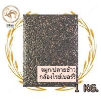 ราคา จมูก/ปลาย/ข้าวท่อนไรซ์เบอร์รี่ ปลอดสารเคมี 1กก (16237530418)