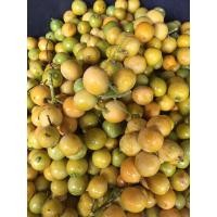 ราคา เมล็ดผักหวานป่า พร้อมปลูก’65 (2952665022)