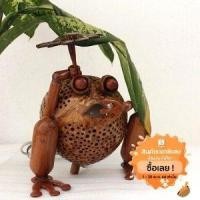 ราคา โคมไฟกะลามะพร้าวรูปกบมีกางร่ม (สินค้า HandMade ทำมาจากกะลามะพร้าว) (1916974552)
