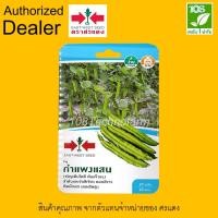 ราคา เมล็ดพันธ์ุ ถั่วพู กำแพงแสน ตราศรแดง (4028174331)