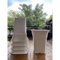 ราคา กระถางต้นไม้สีขาวสี่เหลี่ยมทรงสูง (5240571576)