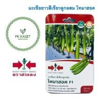 ราคา เมล็ดมะเขือยาวสีเขียวลูกผสม โทมาฮอค F1 ตราศรแดง ซองแข็ง 150 เมล็ด ผักสวนครัว (12795167817)