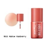 ราคา ส่งต่อ! Skinfood fresh fruit juice extraction blush #สีเบอร์ 3 mellow raspberry (744341431)