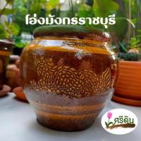 ราคา โอ่งมังกรราชบุรี ขนาดเล็ก โอ่งดินเผาเคลือบเงา ใส่กิมจิ ใส่ของหมักดอง (20147743001)