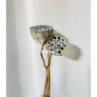 ราคา ดอกไม้แห้ง ดอกบัวแห้ง ฝักบัวอบแห้ง ดอกจริงอยู่ได้นาน 1-2 ปี พร้อมก้าน (20164832081)