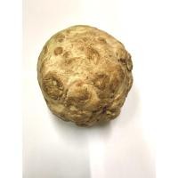 ราคา Celeriac - ซีรีแลค สด หัวคื่นช่ายฝรั่ง สด (5985272092)