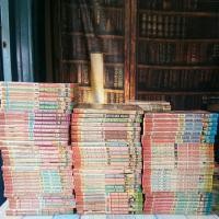 ราคา การ์ตูน​ บงกช​ / 7เล่ม​จบ​ / หนังสือ​สภาพ​เช่า​ (17473955080)