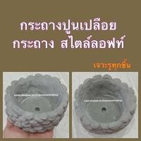 ราคา กระถางปูนเปลือย กระถางแคคตัส กระถางปูน กระถางกระบองเพชร กระถางต้นไม้ กระถาง กระถางมินิมอล กระถางลอฟท์ (17035074859)