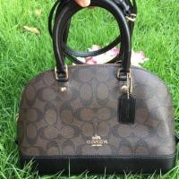 ราคา New coach dome mini 10" (524240553)