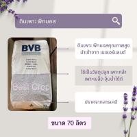 ราคา BVB SUBSTRATES 70 L. วัสดุปลูก พีทมอส พีทมอสเพาะเมล็ด 70 ลิตร peatmoss (14164934144)