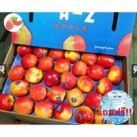 ราคา Guava top1แอปเปิ้ลแจ๊ส (1ลูก) (USA/NZL) ~ลดพิเศษ~ Jazz Apple หวาน กรอบ อร่อย ! ผลไม้นอก ผลไม้นำเข้า ผลไม้สด Fruit Delive (15659187606)