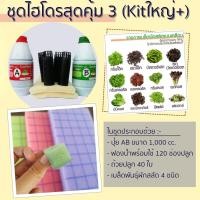 ราคา ชุดปลูกผัก สลัด ไฮโดรโปนิกส์ ปุ๋ยไฮโดรโปนิกส์ ปุ๋ยน้ำ ปุ๋ย AB สารละลาย AB ธาตุอาหาร AB ผักสลัด DIY (3241328348)