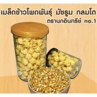 ราคา เมล็ดข้าวโพดพันธุ์ มัชรูม Popcorn Mushroom นกอินทรีย์ (2827033450)