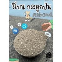 ราคา รีโบน (Rebone) สารแทนกระดูกป่น กระดูกป่น ปุ๋ยกระดูก แคลเซียม แมกนีเซียม (18394091009)